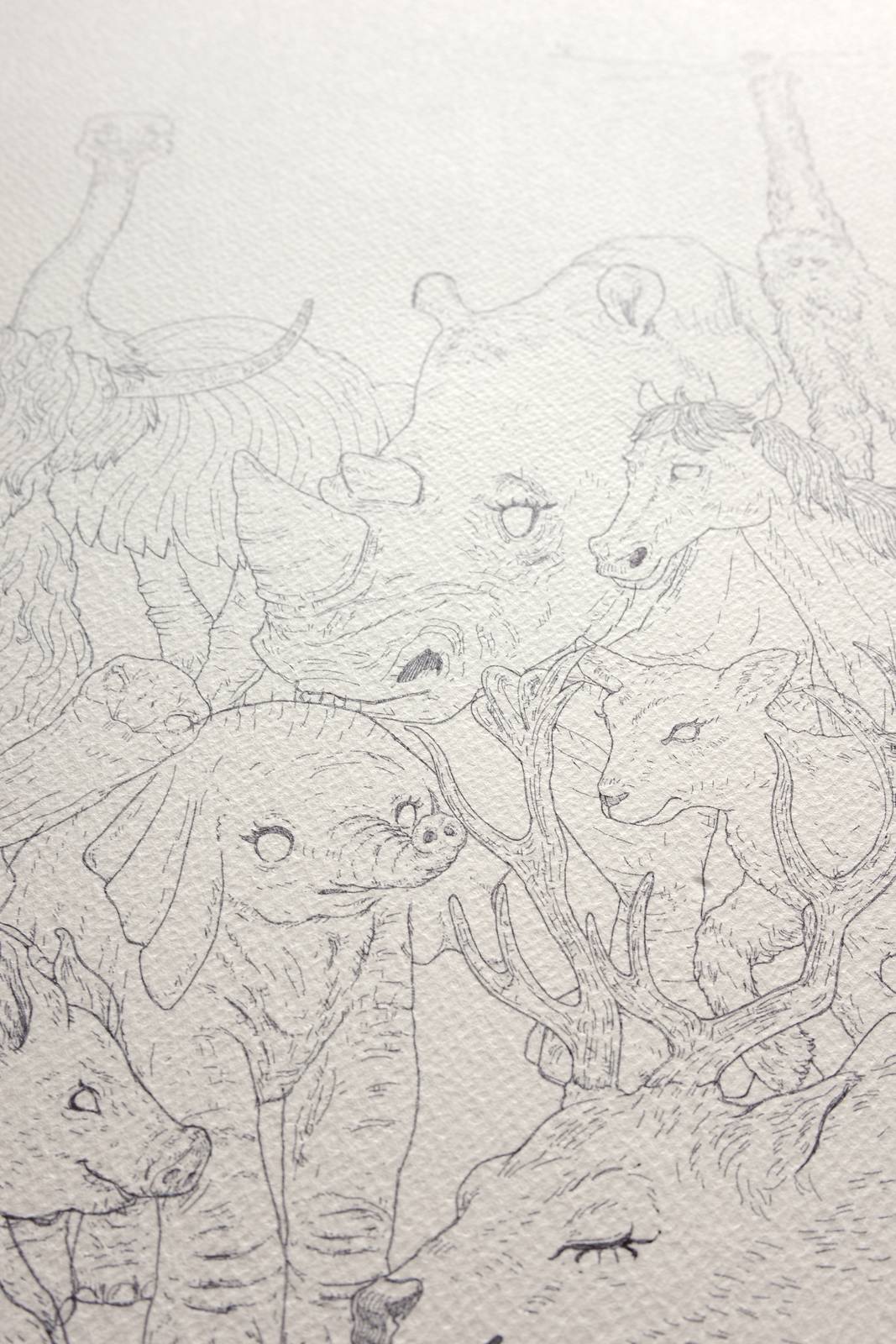 Ten Animals — detail, ink on paper