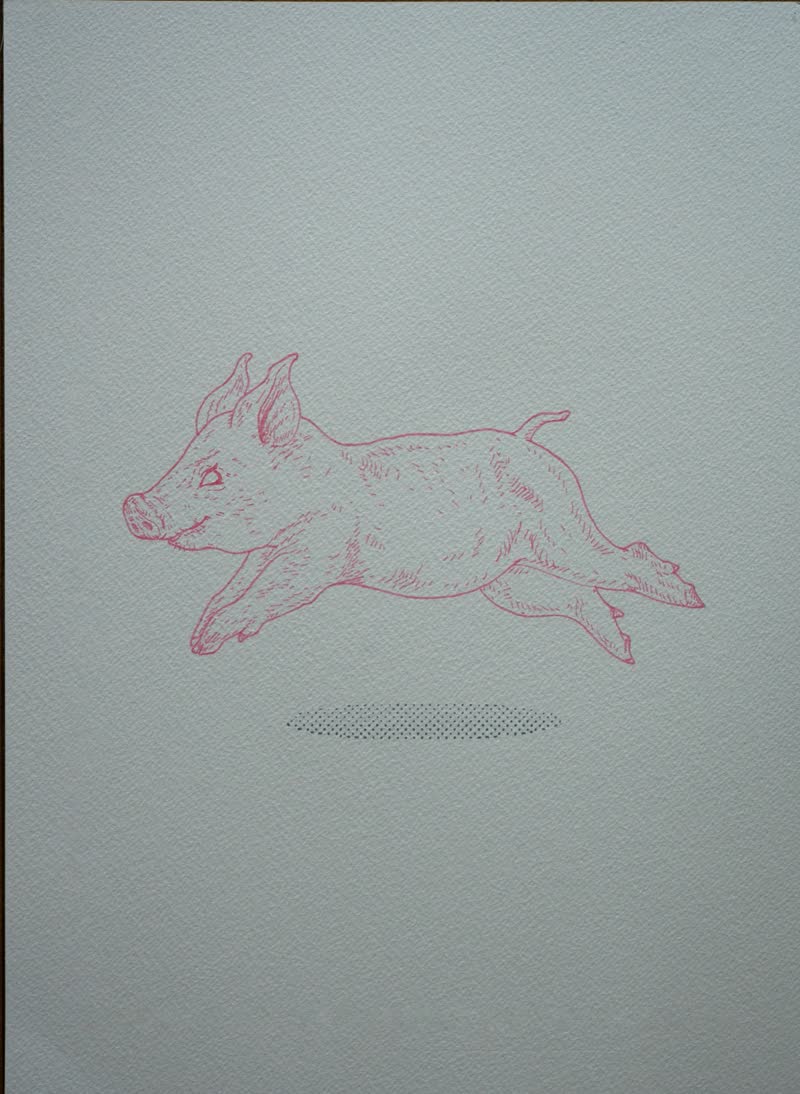 Pig — pen plotter drawing